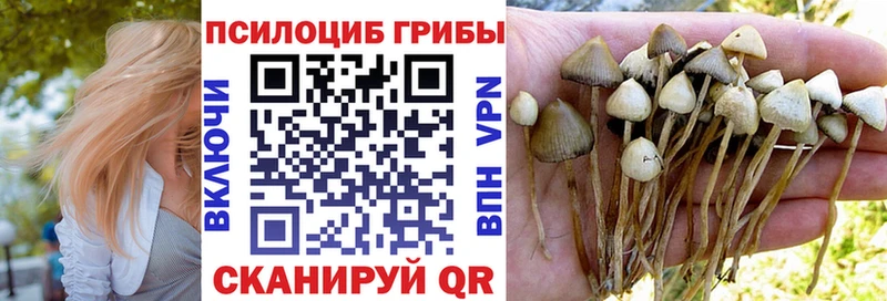 KRAKEN ссылки  Болгар  Галлюциногенные грибы мицелий 